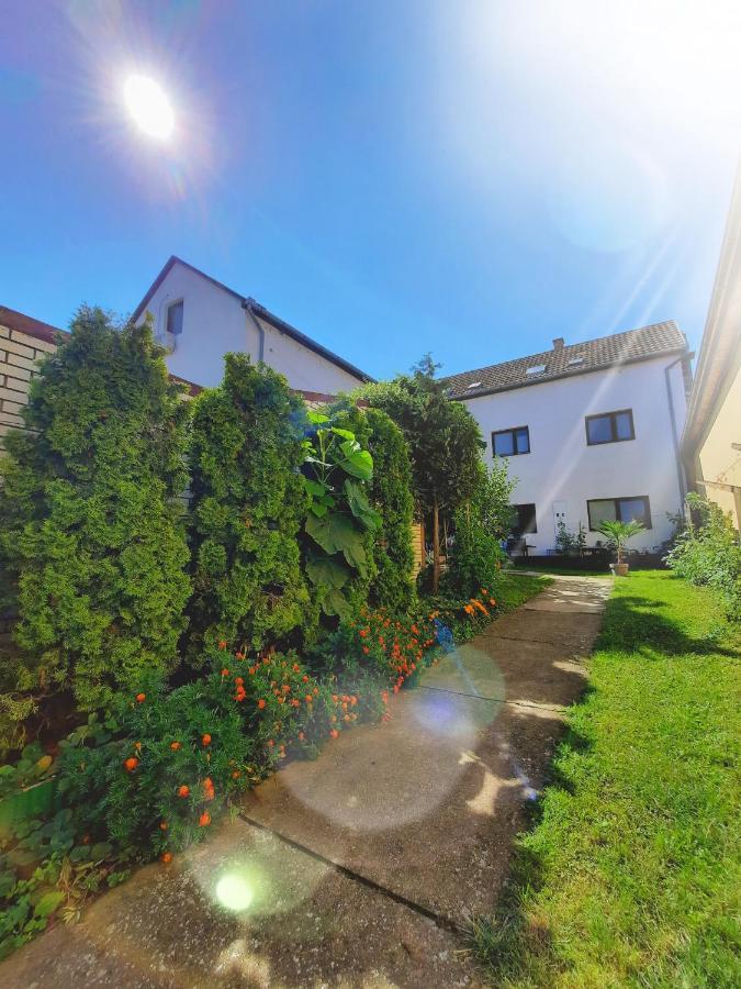 Apartmani Sunflower スレムスキ・カルロヴツィ エクステリア 写真