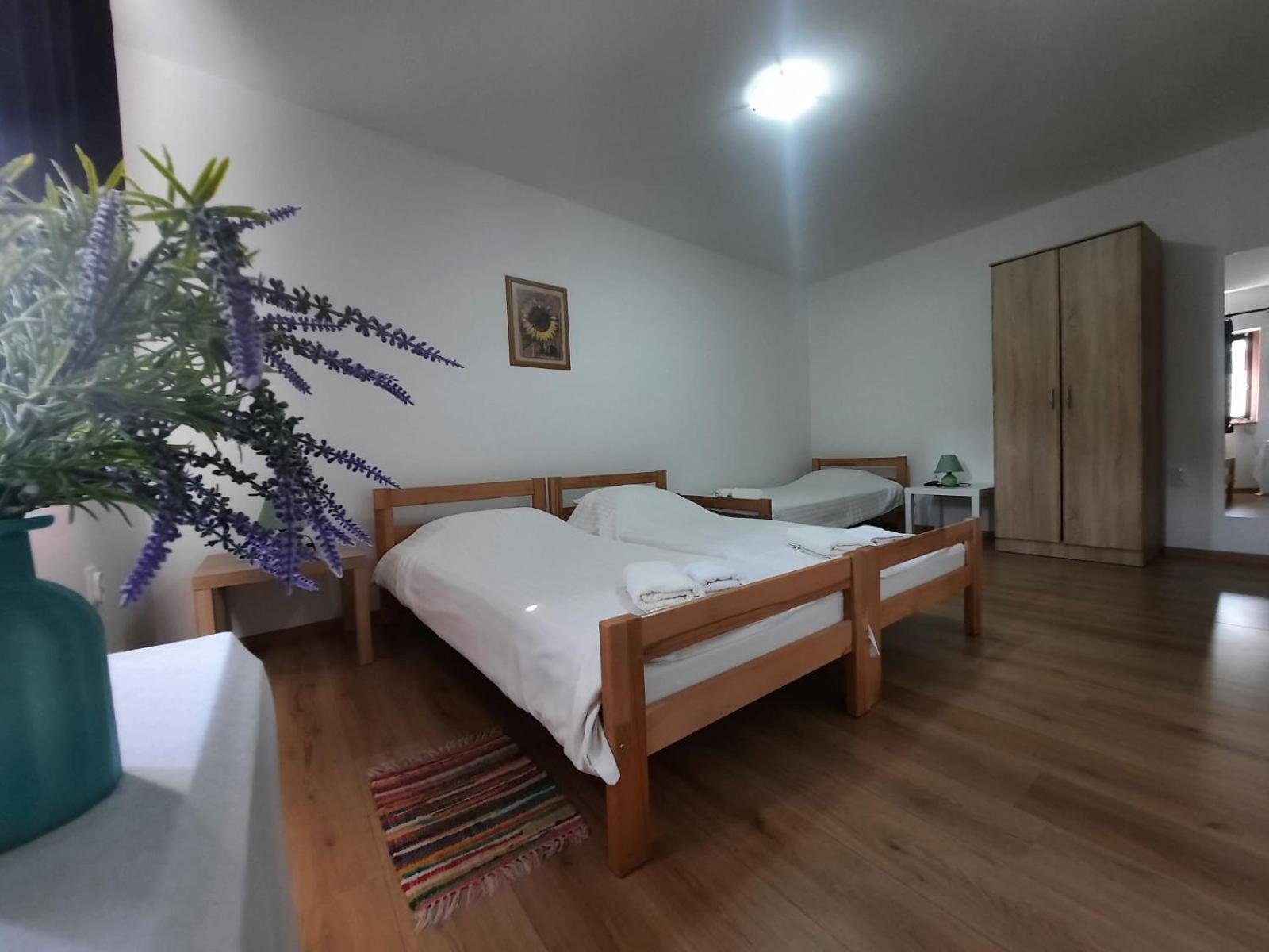 Apartmani Sunflower スレムスキ・カルロヴツィ エクステリア 写真