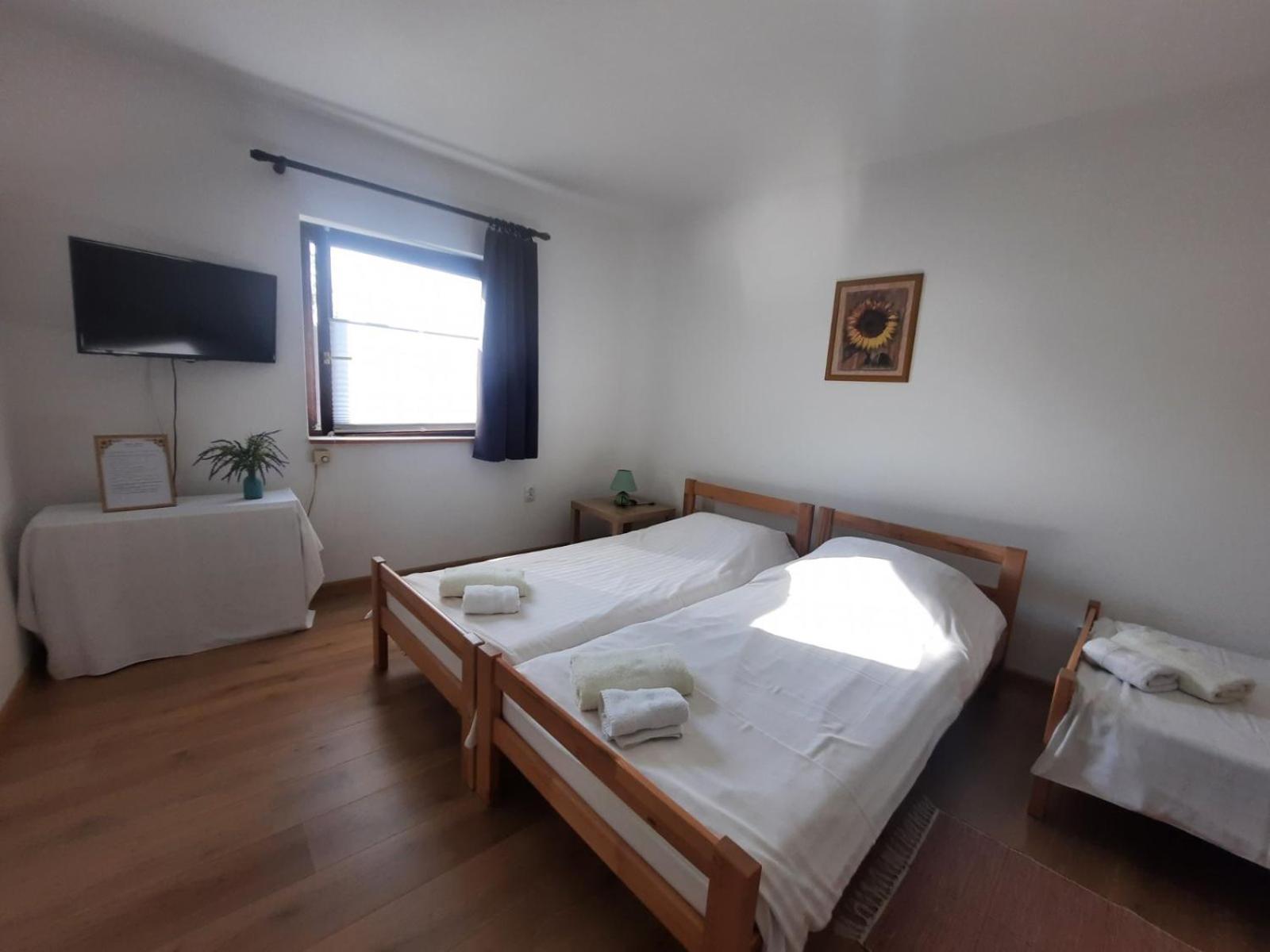 Apartmani Sunflower スレムスキ・カルロヴツィ エクステリア 写真