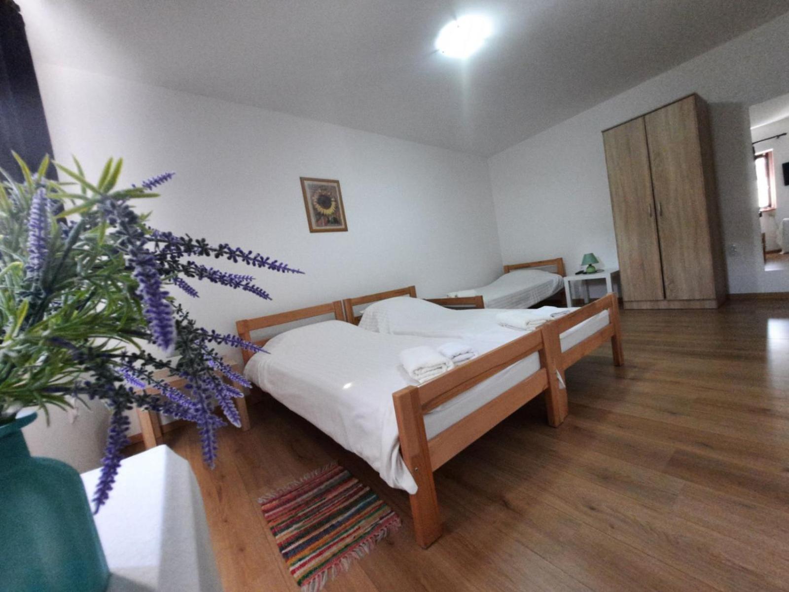Apartmani Sunflower スレムスキ・カルロヴツィ 部屋 写真