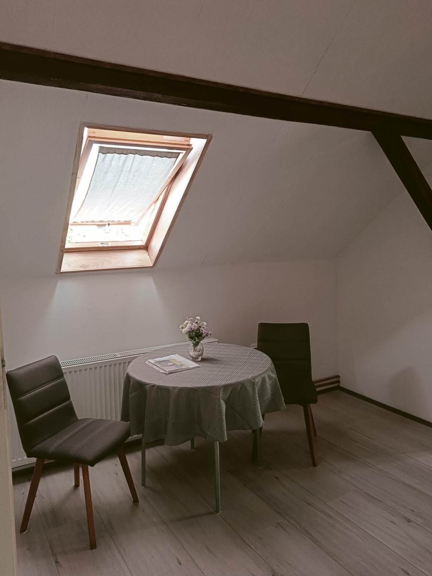Apartmani Sunflower スレムスキ・カルロヴツィ エクステリア 写真