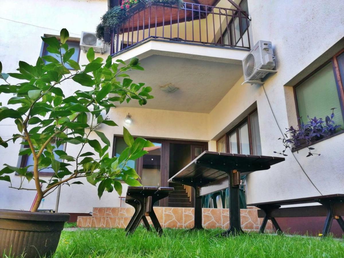 Apartmani Sunflower スレムスキ・カルロヴツィ エクステリア 写真